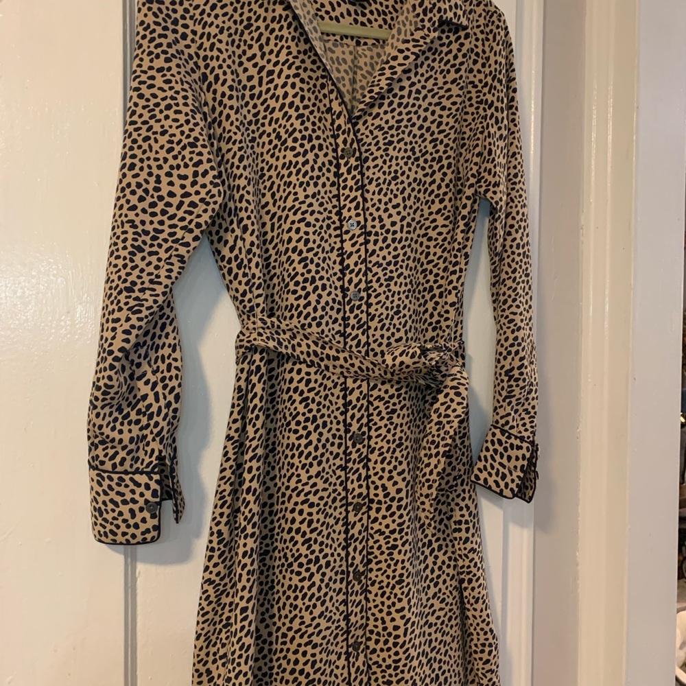 Ann Taylor Shirtdress